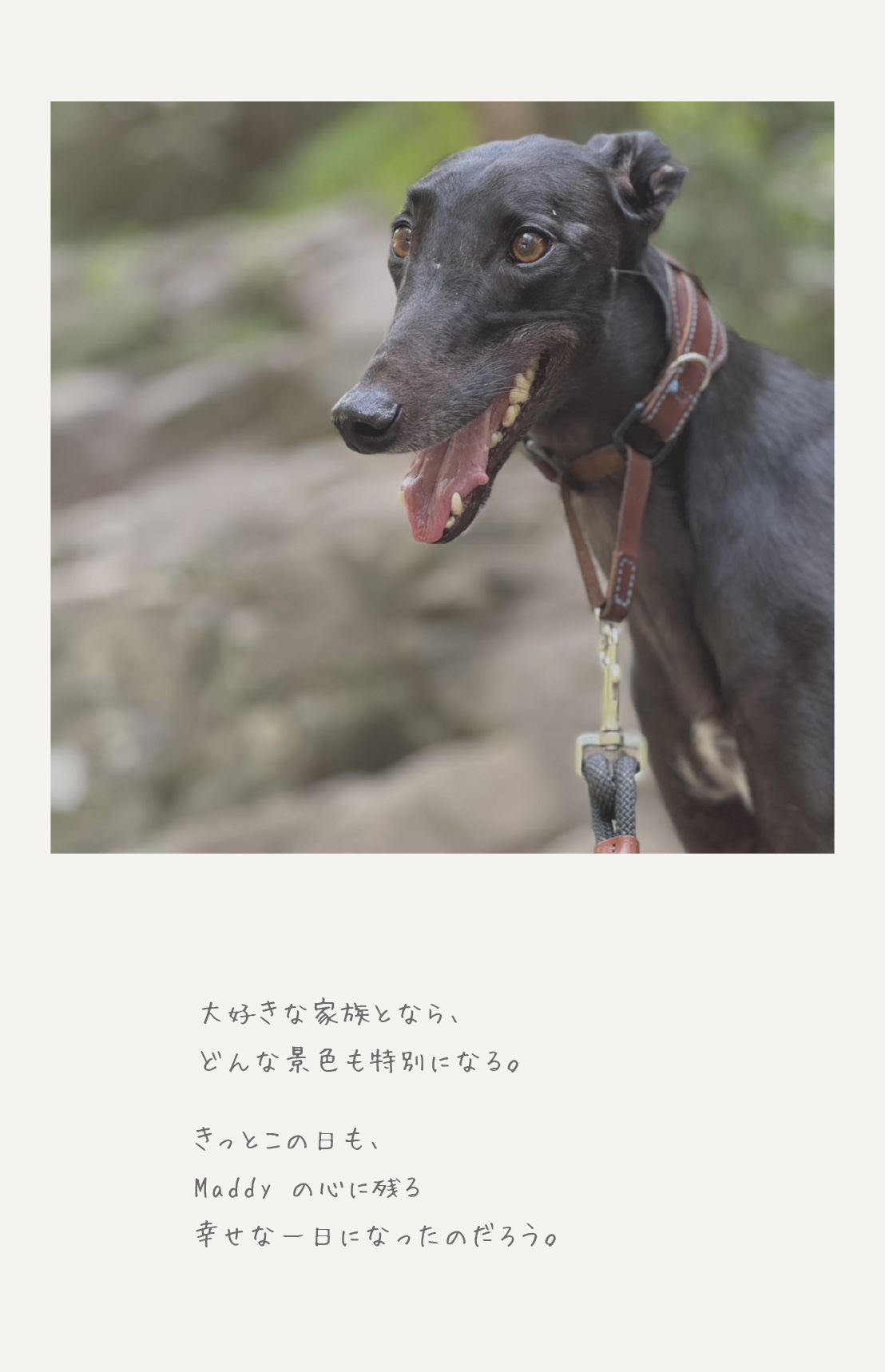 Maddyと家族の思い出