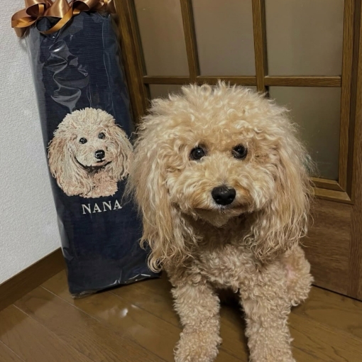 お客様の声 7